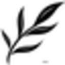 All Natural Collection Coupon Codes